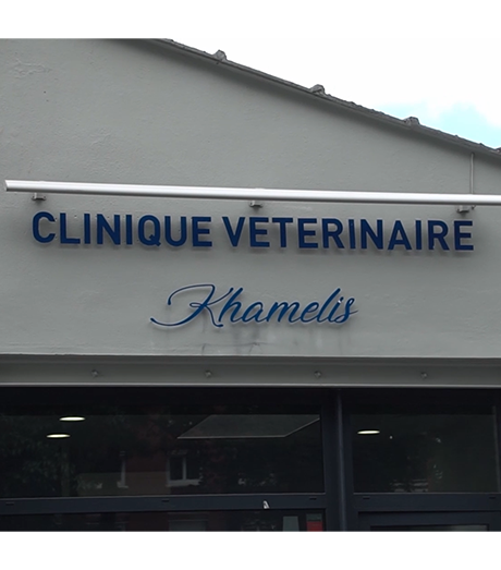 clinique vétérinaire Khamelis a Roubaix